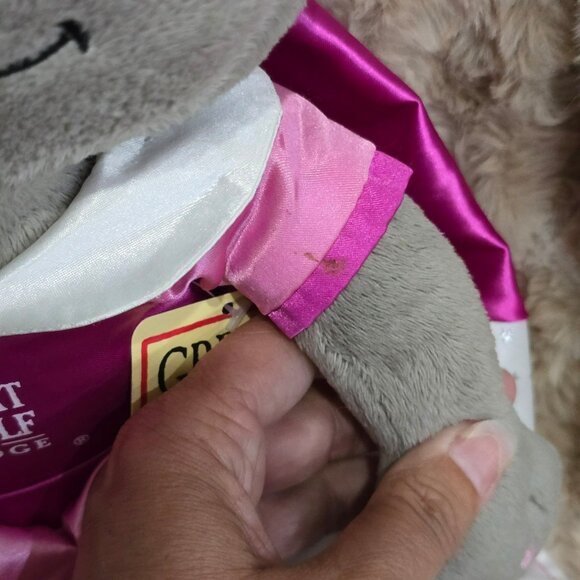 Fiesta Great Wolf lodge 16" Violet the Wolf NWT Pink dress and undies tags plush - Picture 8 of 11